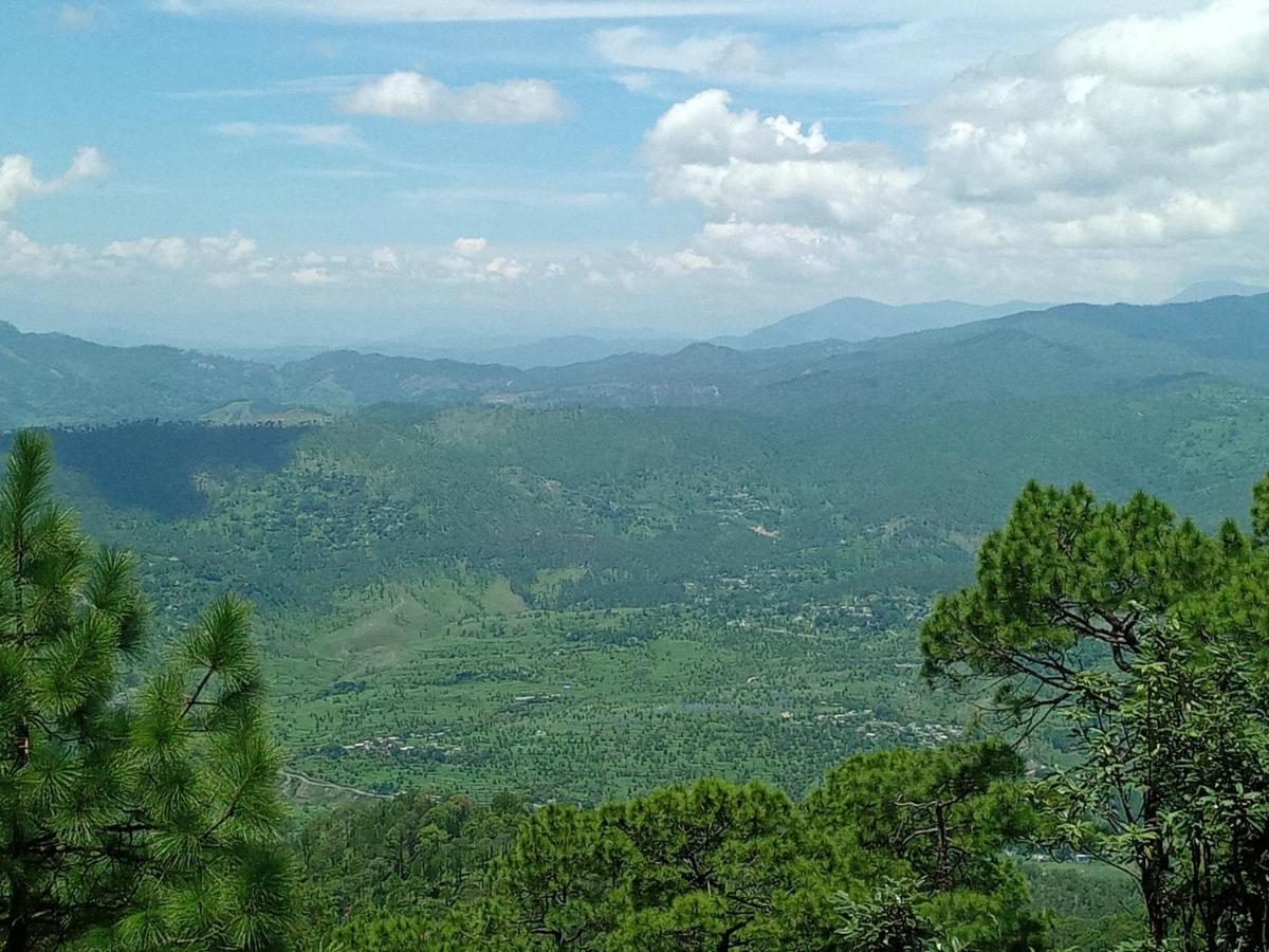 Evergreen Home Stay อัลโมรา ภายนอก รูปภาพ